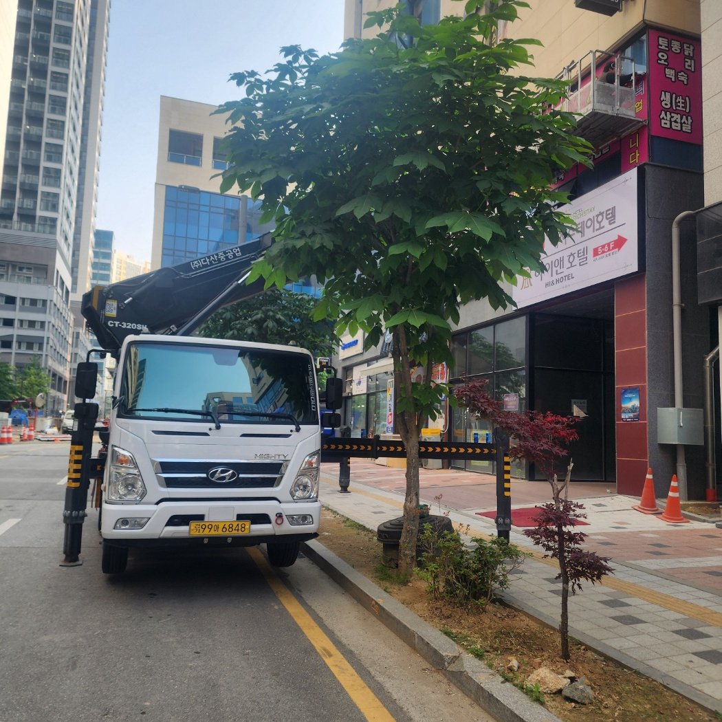 가로수 전지 스카이차 작업사진